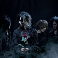 Iflyer Rayflower Band